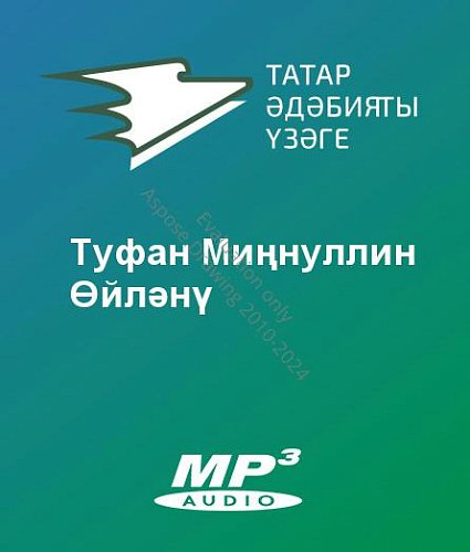 Туфан Миңнуллин - Өйләнү