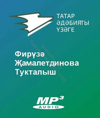 Фирүзә Җамалетдинова - Тукталыш