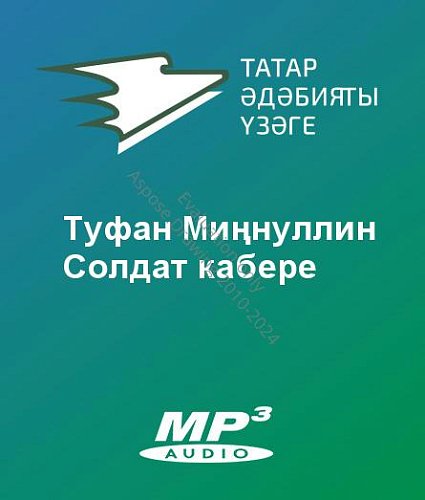 Туфан Миңнуллин - Солдат кабере